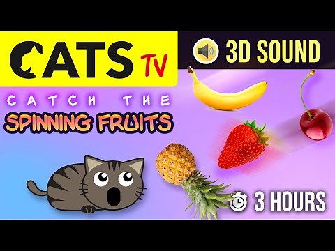 GAME FOR CATS - Catch the FRUITS 🍍🍓🍏 3 HOURS - 60FPS [CATS TV]