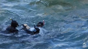 14K views · 759 reactions | By purchasing a ticket to see captive...