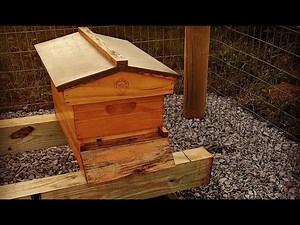 Setting Up the Bee Yard
