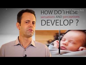 Perceptual Development: Visual and Auditory