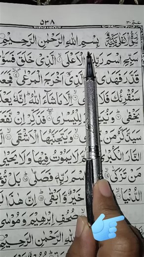 Beautiful Recitation of Surah Al-Ala to Al-Ghashiyah