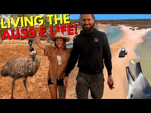 CHASING THE AUSSIE DREAM: Dolphin Feeding & Hot Springs at Monkey Mia & Wooramel Station