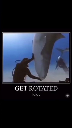 shark gets rotated meme #shorts #viral #meme #funny