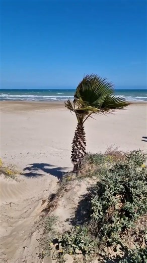 Bible Verse for Today 📖 Matthew 19:23-24 📖 With God All things are possible #faith #hope #love