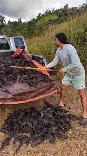 Why Are These People Throwing Fish On The Ground? #shorts