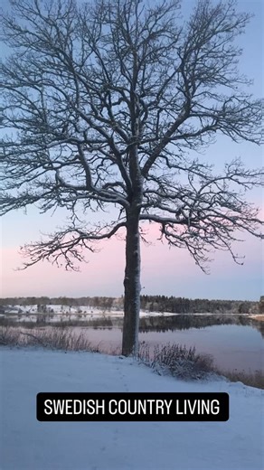 A quiet morning in the Swedish countryside, embracing slow living in rural Sweden. This is what Swedish country living looks like in early winter ❄️ | SwedishCountryLiving