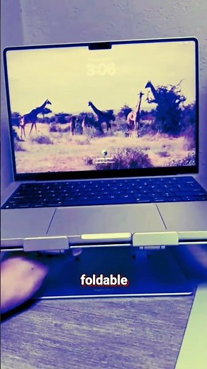 Best Adjustable Laptop Stand for Work & Study