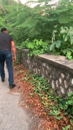 taneishajohnson36 on TikTok