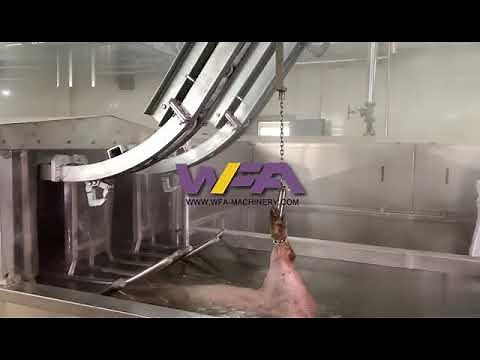 WFA Hog Butcher Equipment Machine Abattoir Canal Type Scalding Of Pig Slaughter House