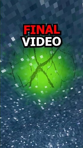 This Is My FINAL VIDEO..