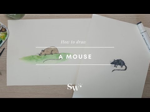 How to Draw a Mouse | Lesson 1