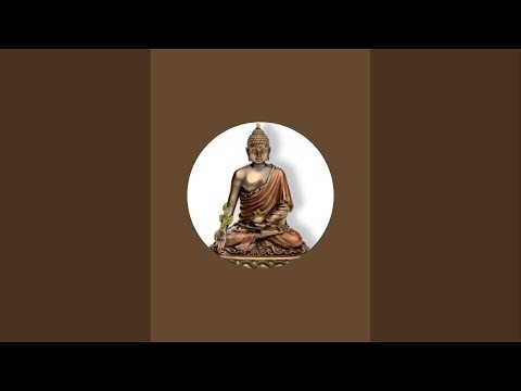 YOU ARE TAPPING INTO UN-TAPPED POWER 💥 PROGRESS IS ALREADY HAPPENING👑