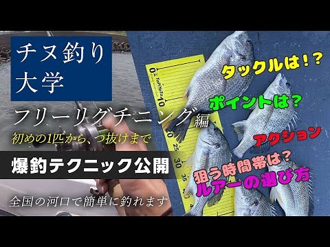 【手元解説】チヌ釣り大学1時間目 フリーリグ チニング編 実釣動画で初めの1匹から、つ抜けまで徹底解説します ポイントさえ押さえれば全国の河口で簡単に釣れます 週末の釣り技術