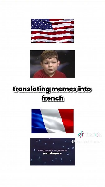 Hilarious French Dubbed Memes Compilation