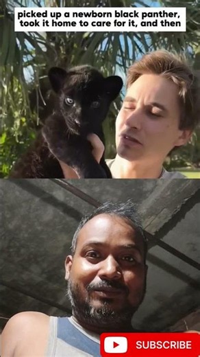 🐾 From Abandoned Black Panther Cub to a Beautiful Survivor ❤️ | Amazing Rescue Story #animalrescue