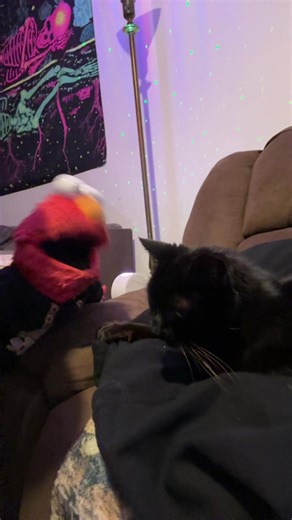 comedy__elmo (@comedy__elmo)’s videos with Milkshake Meow Poku - PokuMeow