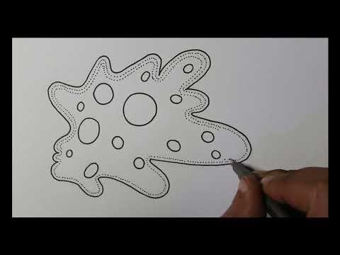 How to draw Amoeba.(draw easy biology)