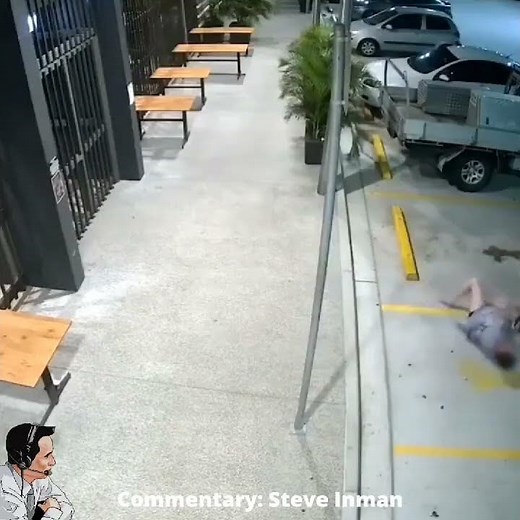 Steve Inman Commentary - Grandma stops a purse thief