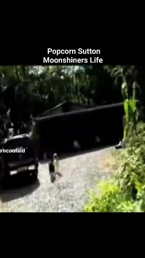 110K views · 3.5K reactions | Popcorn- Interview with Johnny Knoxville. #popcornsutton #popcornsuttonlegend #moonshine #moonshiners #180proofshine #mountainman #appalachiaoutlaw #moonshinestill #appalachia180proof #appalachia #usa #limestonerock #moonshinelegend #appalachianmoonshine Popcorn Sutton Moonshiners Life | Popcorn Sutton Moonshiners Life | Facebook