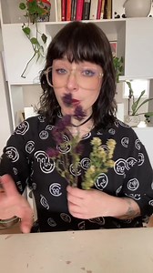 Amé mi adorno con flores secas🖤 #flores #floressecas #manualidades | Maleen