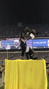 Challenger is ready. #MINvsPHI | #FlyEaglesFly | Philadelphia Eagles