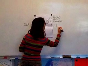 sciences cycle 3 reproduction humaine fc-rh-s2-e1-1 - Vidéo Dailymotion