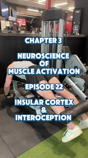 Understanding the Insular Cortex and Motor Control