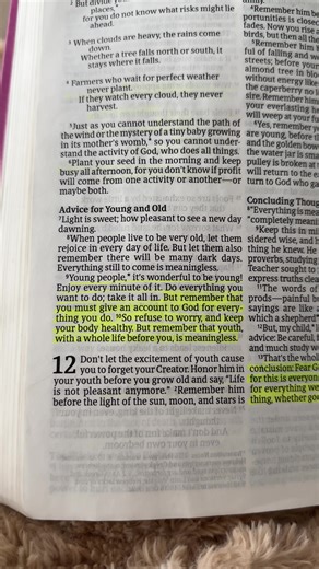 Ecclesiastes 11: 9-10 🫶🏼 #youth #wisdom #fearthelord #christiantiktok #mybible