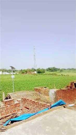 bhole Baba bachpan ki photo 🌹🌹🌹🌹🌹