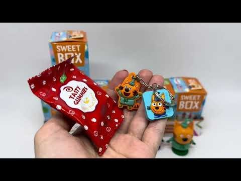 Three cats from Sweet Boxes