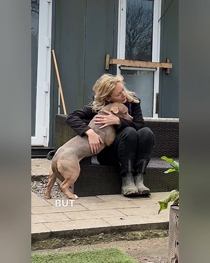 60K views · 1.5K reactions | No-one was coming for Buzz – all alone in the pound, due to be put to sleep. But thanks to the UK’s pioneering kennel-free rescue, this sweet boy was not only saved, but transformed in front of our eyes – and you can help us save more by playing The Rescue Lottery. | Dogs 4 Rescue | Facebook
