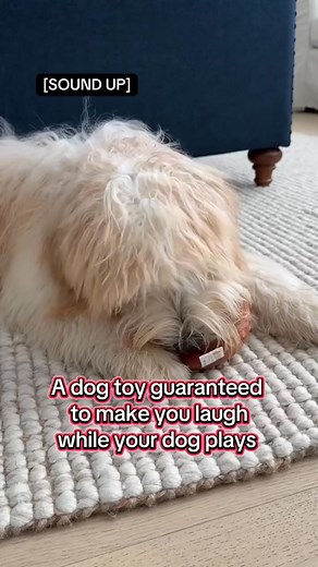 158 reactions · 9 comments |  Endless giggles for everyone—yes, even the pups! This talking poop toy turns playtime into a hilarious, laugh-out-loud experience for kids, adults, and furry friends alike. 藍 Perfect for family fun, pranks, and silly moments that never get old! | Confident-journey | Facebook