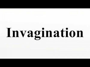 Invagination