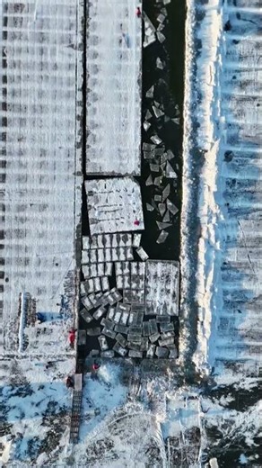 The process of ice extraction on the water surface