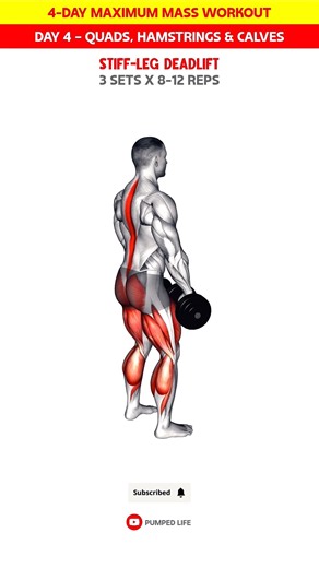 Leg Workout | 4 Day Maximum Mass Program 🔥 #workout #legworkout