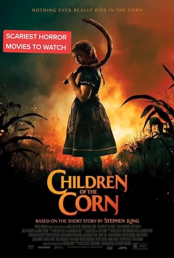 Scariest Horror Movies to Watch: Recommendations & Suggestions