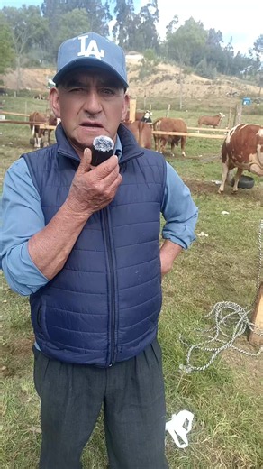 Toro Andino registrado: precio, edad y características