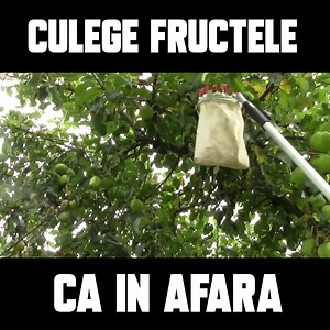 Inca culegi fructele cu scara si galetusa? Hai in 2021. | Artool