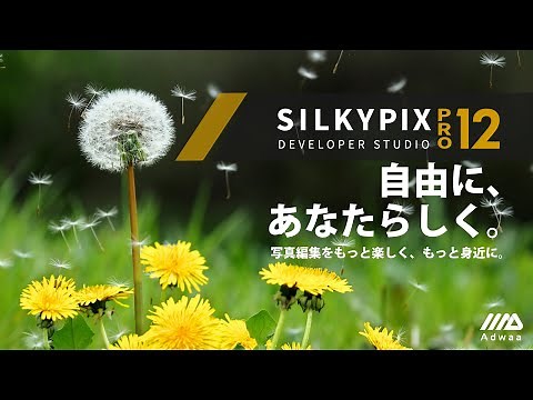 SILKYPIX Developer Studio Pro12