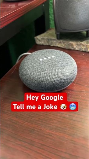 Hey Google, Tell me a Joke 🐶🥶