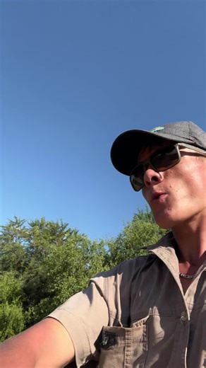 The Best Canter Techniques for Western Riding