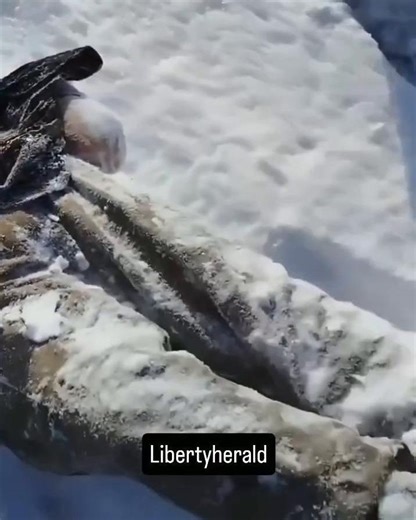 @gore.reel on Instagram: "Follow @gore.reel for more 🩸 《洞》(2003 年）讲述了斯坦利·叶纳茨四世（希亚·拉博夫饰）的故事,他是一名青少年,被错误地判定犯有盗窃罪,并被送往德克萨斯州残酷的青少年拘留中心绿湖营。被拘留者由腐败的沃克监狱长（西格妮·韦弗饰）管理,他们必须每天挖洞寻找与不法之徒基辛·凯特·巴洛有关的宝藏。斯坦利与赫克托·"零"·泽罗尼成为朋友,打破了家庭诅咒并找到了宝藏。 剧情概要和关键元素 前提与诅咒:斯坦利·叶纳茨来自一个因曾曾祖父未能兑现对立陶宛算命师泽罗尼夫人的承诺而被诅咒"运气不好"的家庭。他因偷窃棒球明星克莱德·"甜脚"·利文斯顿捐赠的鞋子而被不公正地判刑。 绿湖营地:抵达后,斯坦利发现湖水早已干涸。这些男孩,包括“零”（克莱奥·托马斯饰）、腋窝、之字形、鱿鱼、磁铁和 X 射线,被迫每天挖一个 5x5 英尺的洞来“塑造性格”,尽管典狱长实际上正在寻找被盗的宝藏。 交织的历史:这部电影在现在和过去之间切换,展示了 110 年前萨姆被谋杀后湖水如何干涸。萨姆是一名洋葱小贩,深受学校教师出身的姻亲凯瑟琳“亲吻