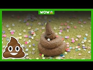 Hoe ziet jouw poep eruit? 🚽💦