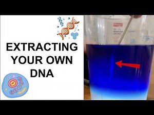 Extract Your Own DNA at Home with Household Items