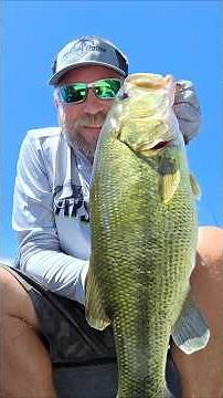 4th July Weekend Bassin' Report 🇺🇸🎆
