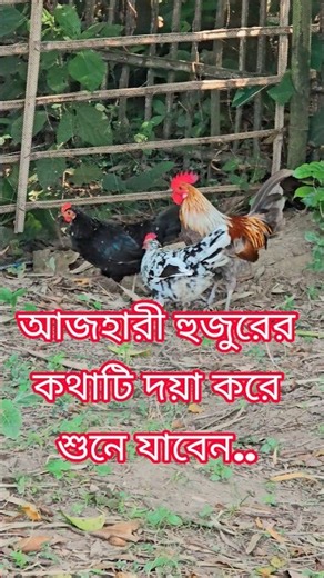 আজহারী হুজুরের কথাটি দয়া করে শুনে যাবেন | Mizanur Rahman Azhari bangla waz 202 #mizanurrahmanazhari