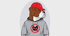 Rapper Dog Names - [125  Names from Hip Hop] - My Dog's Name