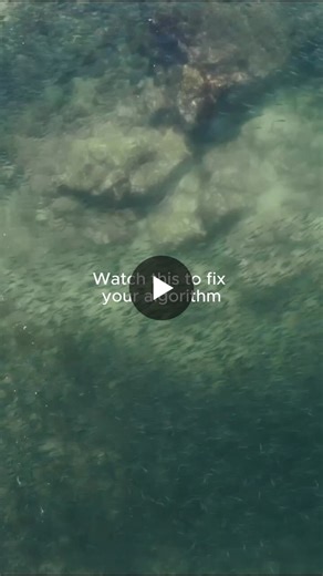 #oceanschool #herringspawn #pacificnorthwest #explorebc | SeaLegacy