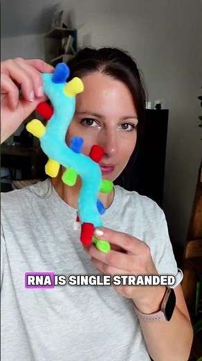 DNA vs RNA: Who Does What in the Cell?