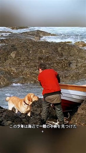 7K views · 55 reactions | 少年と彼の犬が偶然に無人島で立ち往生している#動物 | buzz.net | Facebook